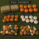 Fall Favorite