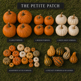 Petite Patch